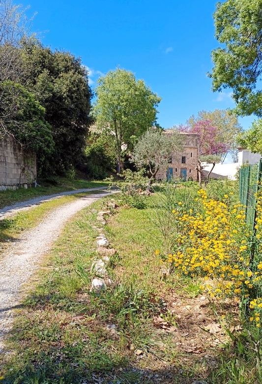 Terrain à bâtir viabilisé Saint-jean-de-cornies