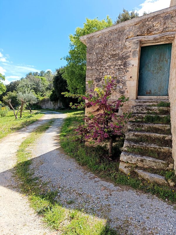 4 Terrain à bâtir viabilisé Saint-jean-de-cornies