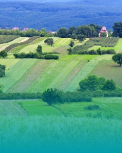 zones rurales pour les investisseurs