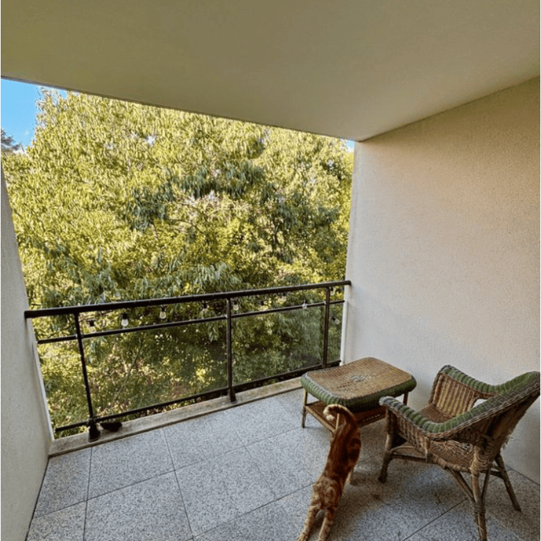 T2 à vendre quartier aiguelongue Montpellier